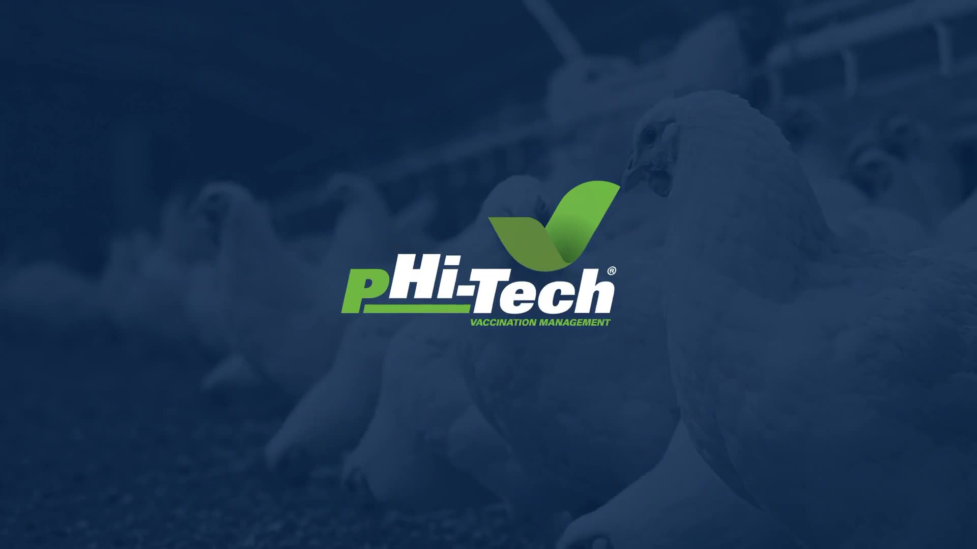 pHi-Tech