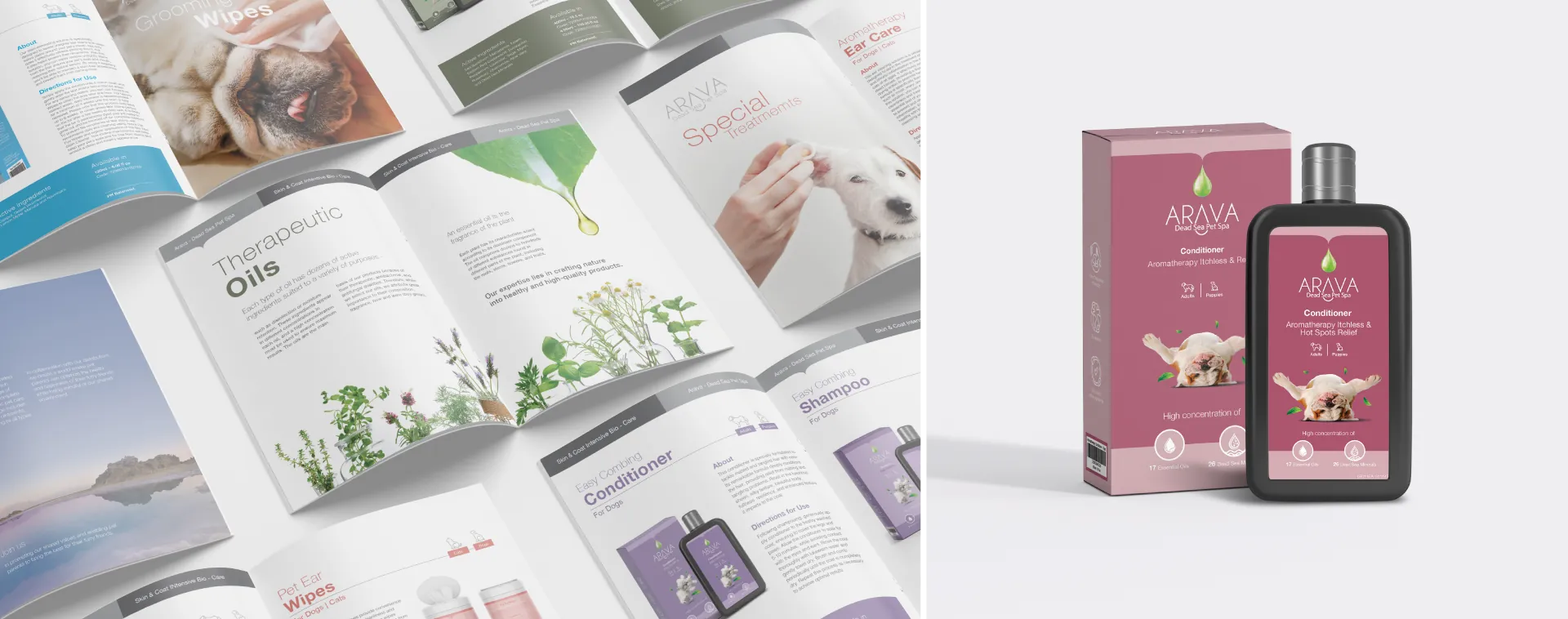 Brochure and conditioner packaging