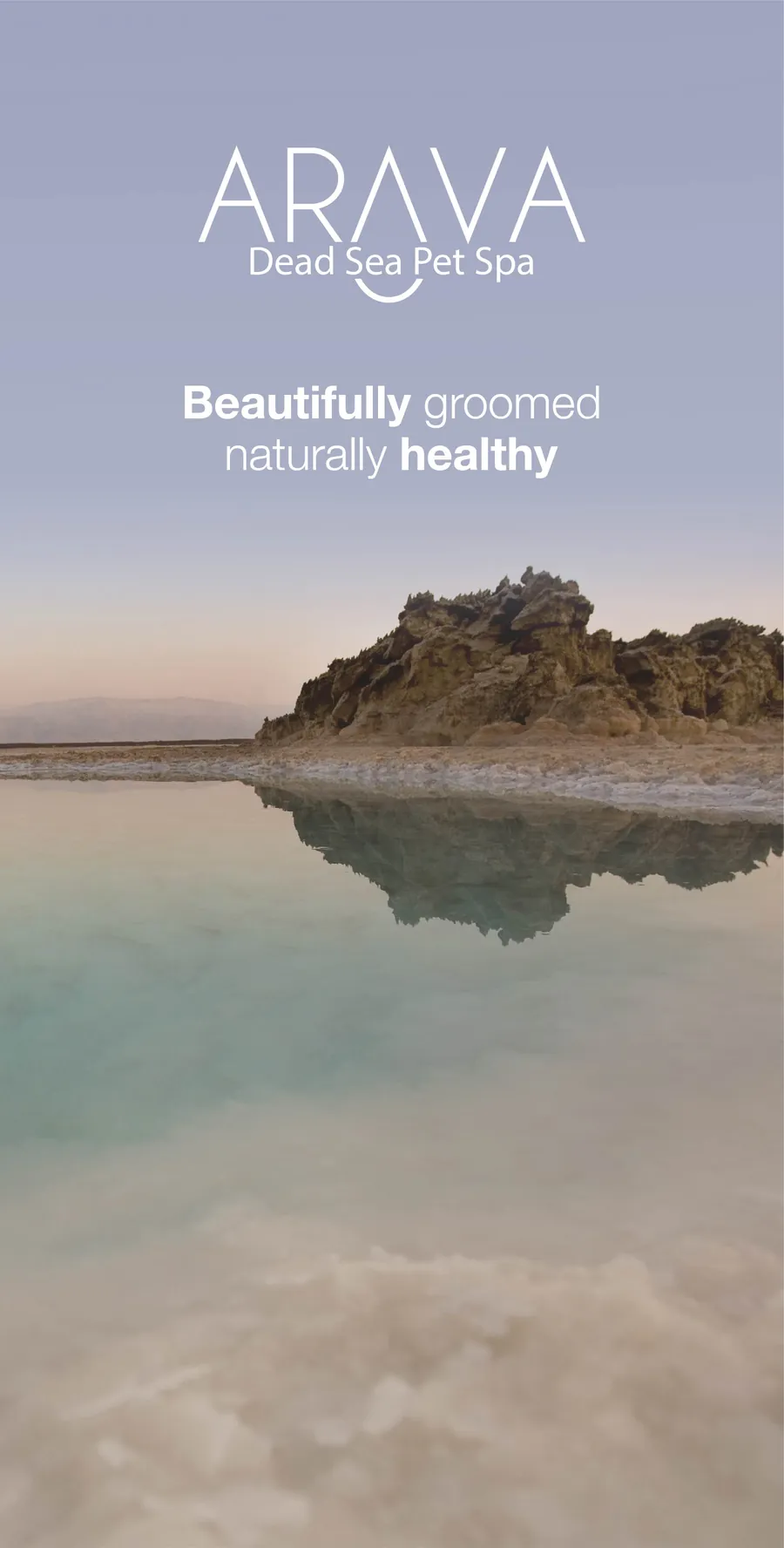 Wall A, the Dead Sea